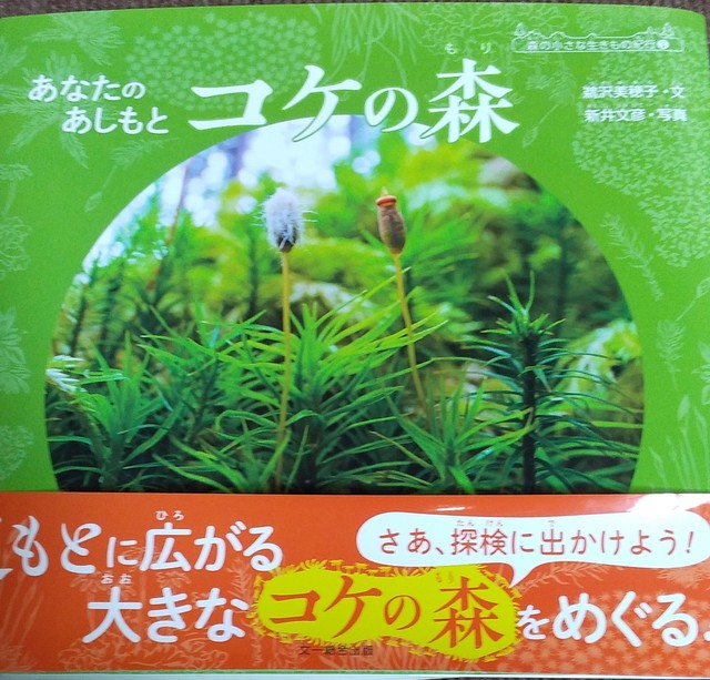 IMG_mori.jpg